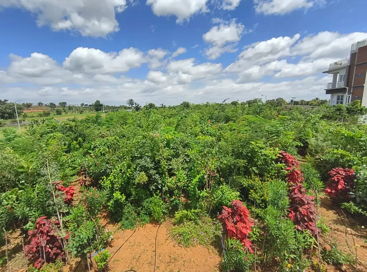 Lush on-site greenery with flowering plants